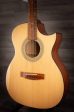 Aria 201 CE N - Acoustic Guitar Online now