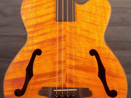 Aria FEB F2 FL Fretless Acoustic Bass Natural For Cheap