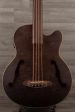 Aria FEB F2M FL Medium scale Fretless Acoustic Bass - Black Discount