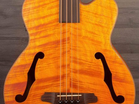 Aria FEB F2M FL Medium scale Fretless Acoustic Bass Natural Discount