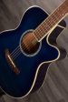 Aria FET-01STD SBL - Acoustic Guitar Online now