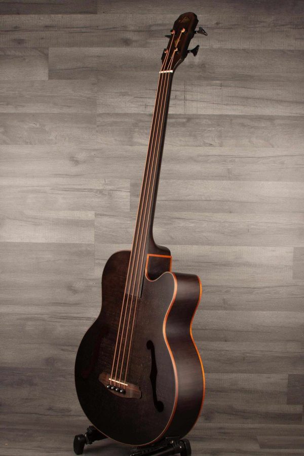 Aria FEB F2M FL Medium scale Fretless Acoustic Bass - Black Discount