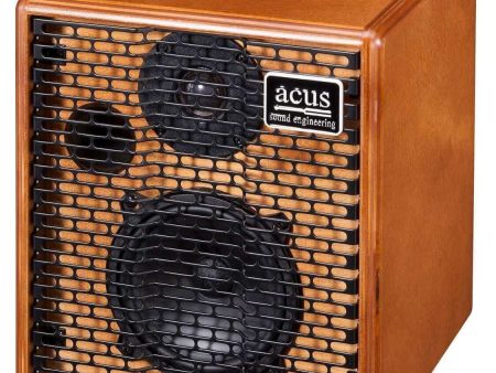 Acus Guitar Amplifier - One ForStrings One 5T Wood Sale