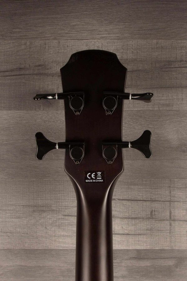 Aria FEB F2M FL Medium scale Fretless Acoustic Bass - Black Discount