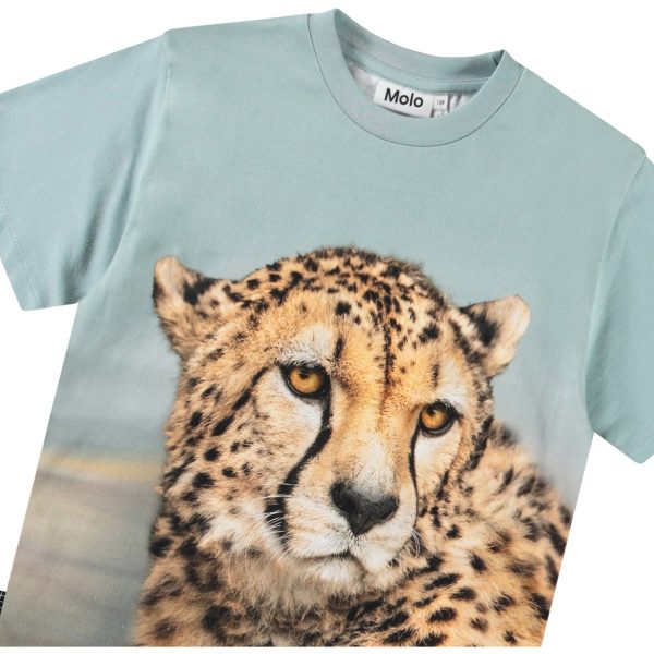 Molo Big Cheetah Blue Rubin T-Shirt Cheap