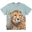 Molo Big Cheetah Blue Rubin T-Shirt Cheap