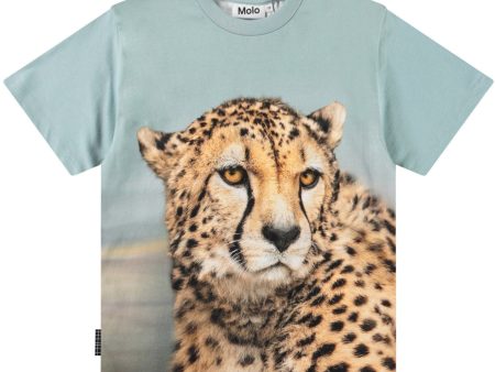 Molo Big Cheetah Blue Rubin T-Shirt Cheap