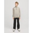 Jack & Jones Junior Moonbeam Bradley Sweatshirt Half Zip Noos on Sale