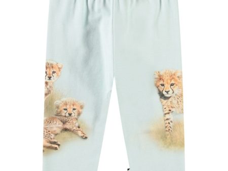 Molo Cheetas cute Simway Soft Pants Online Sale