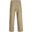 Jack & Jones Junior Elmwood Alex Co Carpenter Pants Noos Online